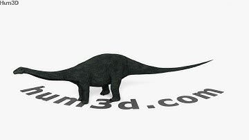 Apatosaurus 3D model by 3DModels.org
