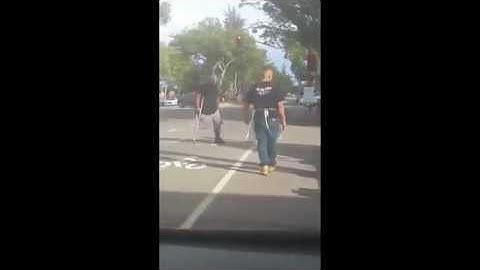Cell Phone Video: Morgan Hill VTA driver attacked