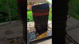 शव भकत सनग