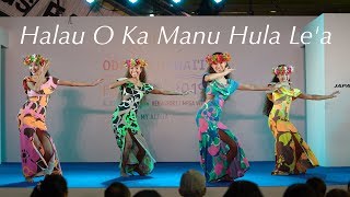 Halau O Ka Manu Hula Le'a - ODAIBA HAWAI'I FESTIVAL 2019   Digest