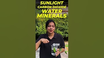 💯🌱🔥OXYGENനെ ഒന്ന് കണ്ടാലോ??💯🌱🔥 #viralshorts #biology #photosynthesis #oxygen #examwinner