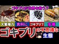 【ゆっくり解説】「ゴキブリ」の不思議な生態　生命力 身体能力 繁殖能力 なぜ死ぬ時に仰向けに？