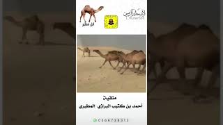 منقية/ أحمد بن كتيب البرازي المطيري تصميم لايف مطير الرسمي l_mutair305