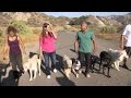 Cesar 911 episode 7 exclusive calm and assertive