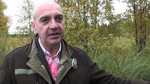 Interview: Andrea Petrini (Cook It Raw Organiser) ...