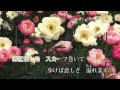 千花有黄♪さくら草♪色変わりテロップ付