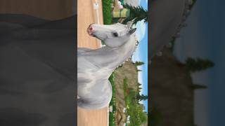 2 NEW DUTCH WARMBLOODS & 1 NEW LIPIZZANER!! Which is your fav? 💗 #sso #shorts #starstable