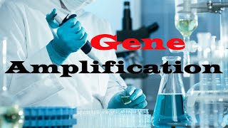 Gene Amplification  # By Dr. Chouse Faisal Hamad