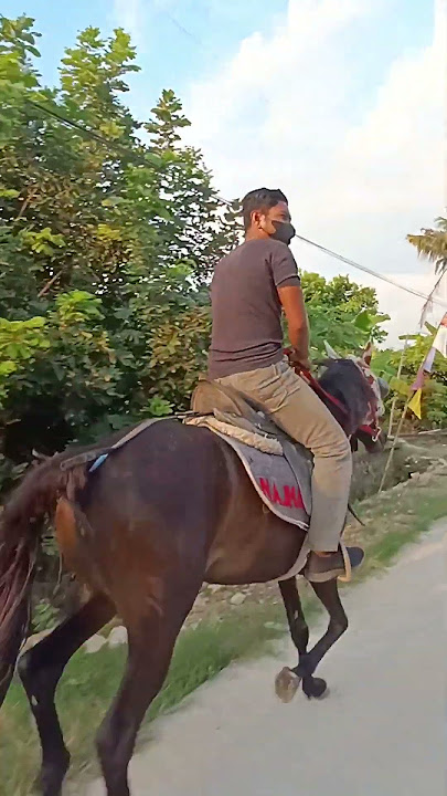 Kuda Nungging
