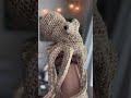 One yarn, two very different projects! (Full video on the top tomorrow! 👀) #crochetfashion #crochet