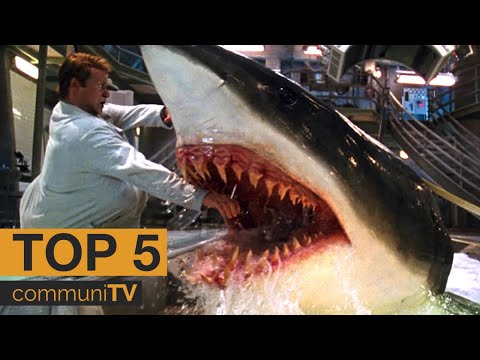 Video: Was Sind Die Filme über Haie?