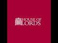 Lords raises concerns on new laws created without proper checking by Parliament | House of Lords
