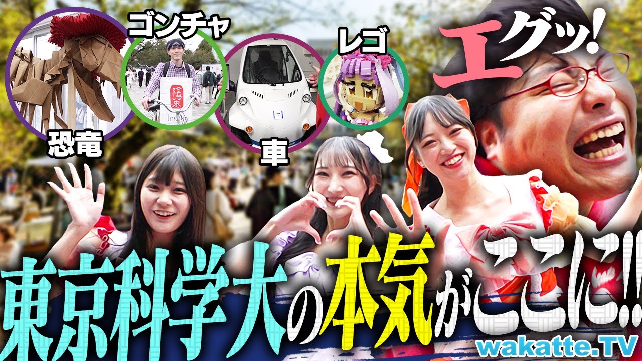 wakatte.TV公式サイト - 日本の学歴社会をブラックに皮肉る！