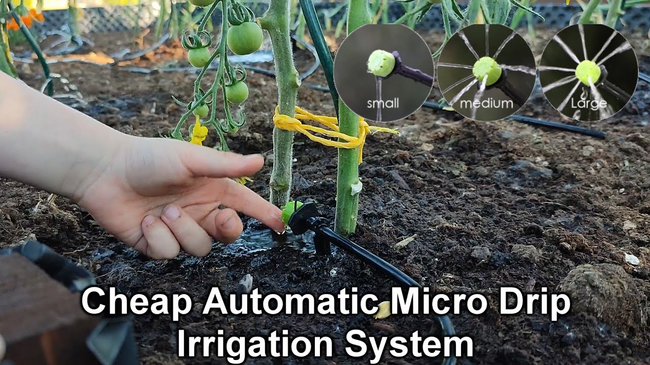 Install a Automatic Micro Drip Irrigation System For Raised Bed Garden