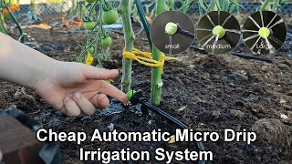 Install a Automatic Micro Drip Irrigation System For Raised Bed Garden / Automatic Watering System