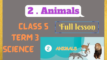 Tn Samacheer class 5 Term 3 unit 2 Science Animals Full Lesson with Evaluation 5th standard.