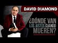 DAVID DIAMOND - ¿A DÓNDE VAN LOS JUSTOS CUANDO MUEREN? #daviddiamond
