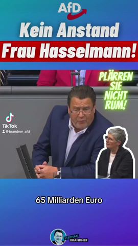 Kein #Anstand Frau #Hasselmann! #Plärren Sie nicht rum! #afd #stephanbrandner