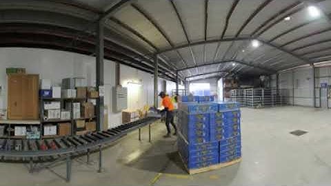 Harvesting greatness, Part 3: Packing and preparing grapes for market