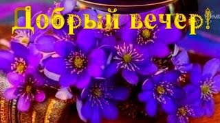 Вечерней Красотой,Желаю Наслаждаться♥️♥️ Добрый Вечер💜💙