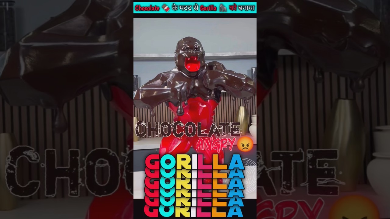 Chocolate Angry 💢 GORILLA 🦍 