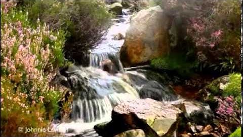 سورة هود كاملة محمد أيوب + تحميل mp3 + تحميل صحيح البخاري جزء 3