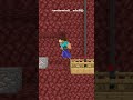 Trapped in a Cave! How Will Steve and His Dog Esca