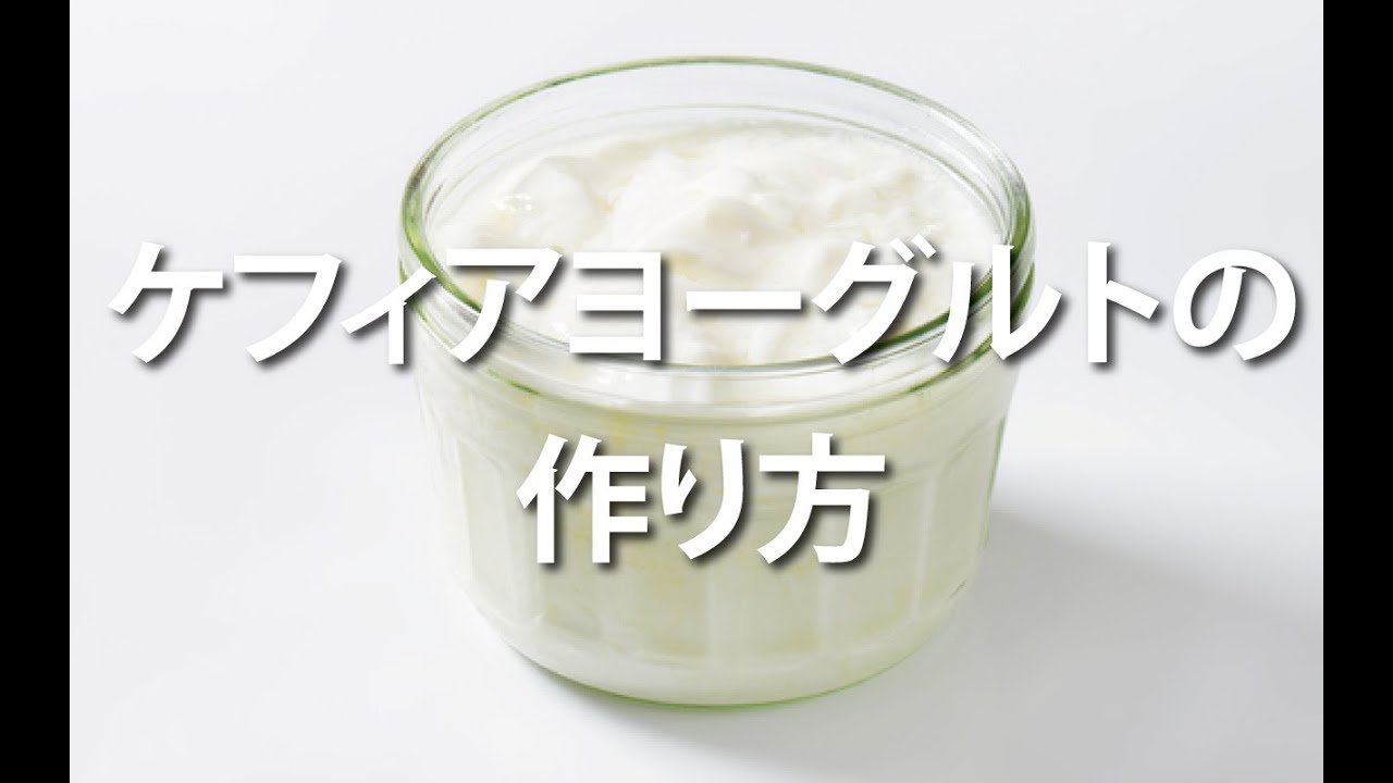 ケフィアヨーグルトの作り方 How To Make Kefir Yogurt Making By Yogurt Maker Recipe Youtube