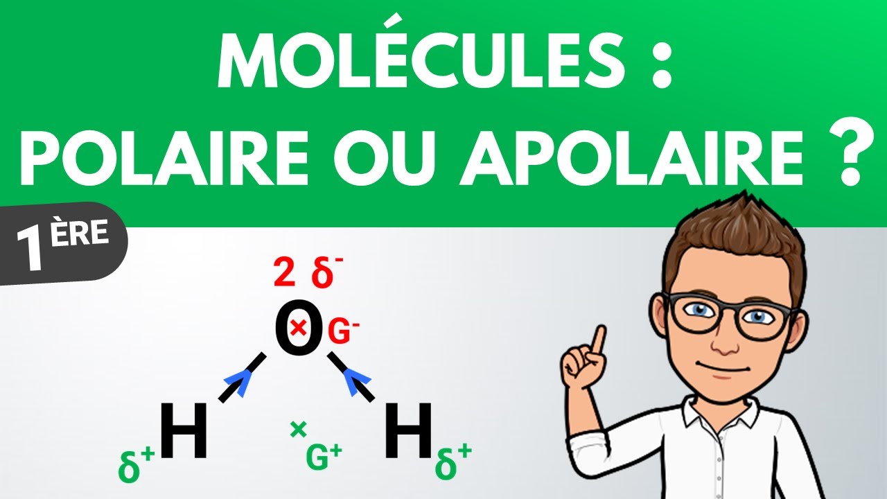 Dterminer la polarit dune molcule  Premire  Physique Chimie