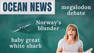Newborn great white shark | megalodon debate | coral controversy | Norway's deep sea mining