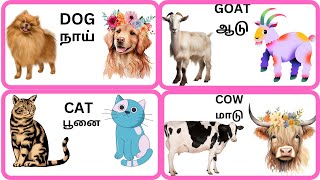 Animal names | animal names in tamil | animal names for kids in Tamil