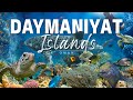 The JEWEL Of The MIDDLE EAST Daymaniyat Islands Of OMAN Whale Sharks The JEWEL Of The MIDDLE EAST Daymaniyat Islands Of OMAN Whale Sharks