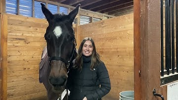 Equine Structural Integration Client Testimonial