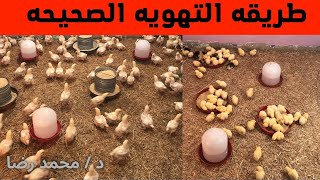 افضل طريقه للتهويه الصحيحه للفراخ كلام طبي وعلمي مع د/ محمد رضا