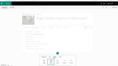 Sway: Adding video and sharing