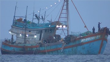 Siêu ghe cào Vũng Tàu hàng khủng long