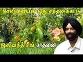 agriculture and organic farming evergreen fruit forest at chennai model farm in tamil