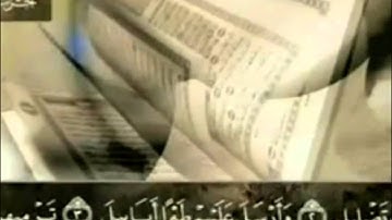 105 سورة الفيل ترتيل بصوت عبد الباسط عبد الصمد
