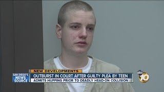 Young man pleads guilty in head-on collision that killed motorist on SR-56
