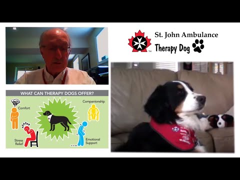 Video: Super pes odnehati Superbugs v bolnišnici Vancouver