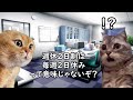 【知らないとヤバい】会社の分かりにくい休みの制度の落とし穴【猫ミーム】