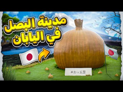 مدينة البصل في اليابان