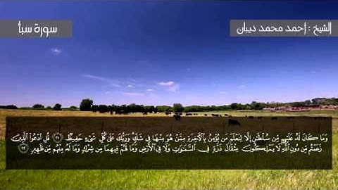 سورة سبأ برواية حفص عن عاصم للقارئ الشيخ أحمد ديبان