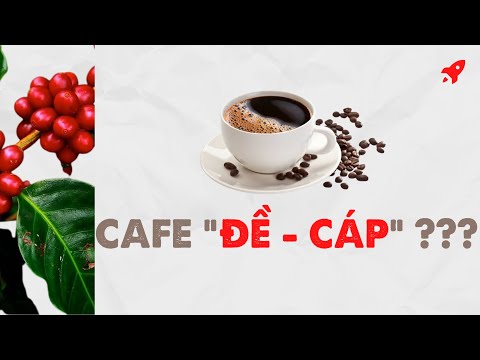 Điểm Tâm Kiến Thức: Món 001 - CAFE DECAF