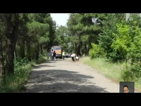 ხუდადოვის ტყეში დასუფთავების აქცია გაიმართა