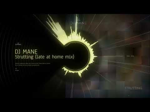 Strutting Single By DJ MANE Techno Electronic Music 2024 Deep Hypnotic Vibes