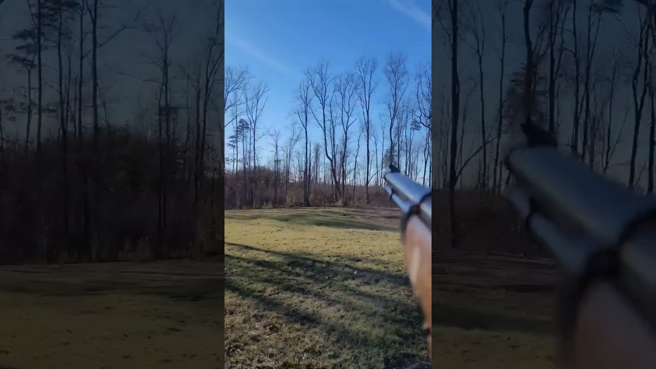 Glenfield MD 75 22lr 