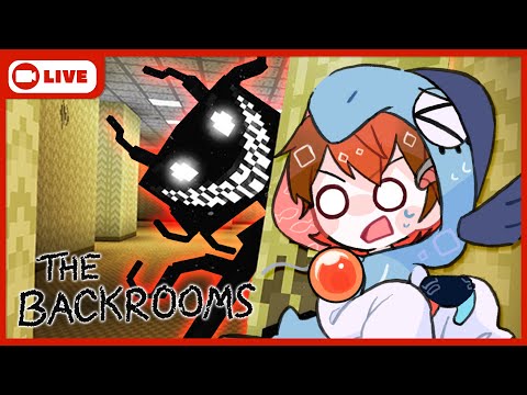 【THE BACKROOMS】【Minecraft】マインクラフト界史上１番怖いバックルームズ【さぁーもん】