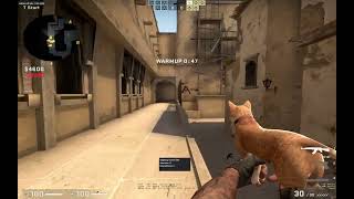 weaponising cats with eclipse.wtf