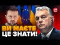 🤯Орбан ПРОБИВ ДНО: ШАНТАЖУЄ ЄС? / ОСЬ ЩО впливає на підтримку України / Допомоги НЕ БУДЕ? / КЛОЧОК